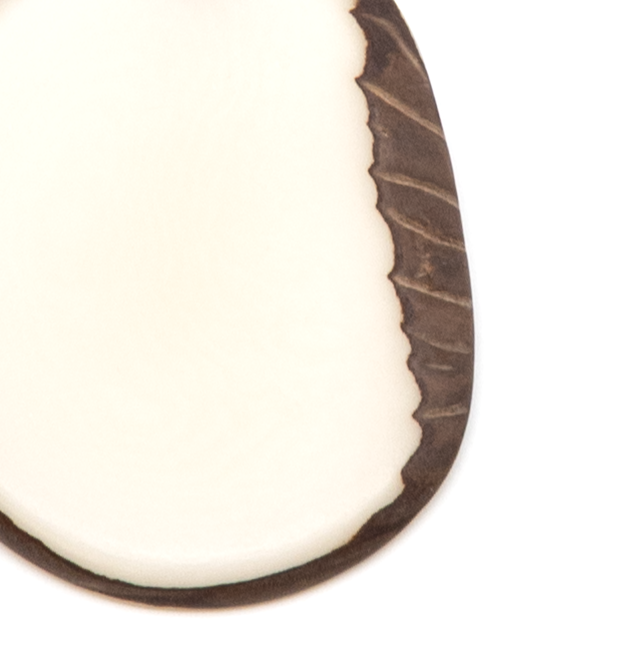 Tagua Nuss