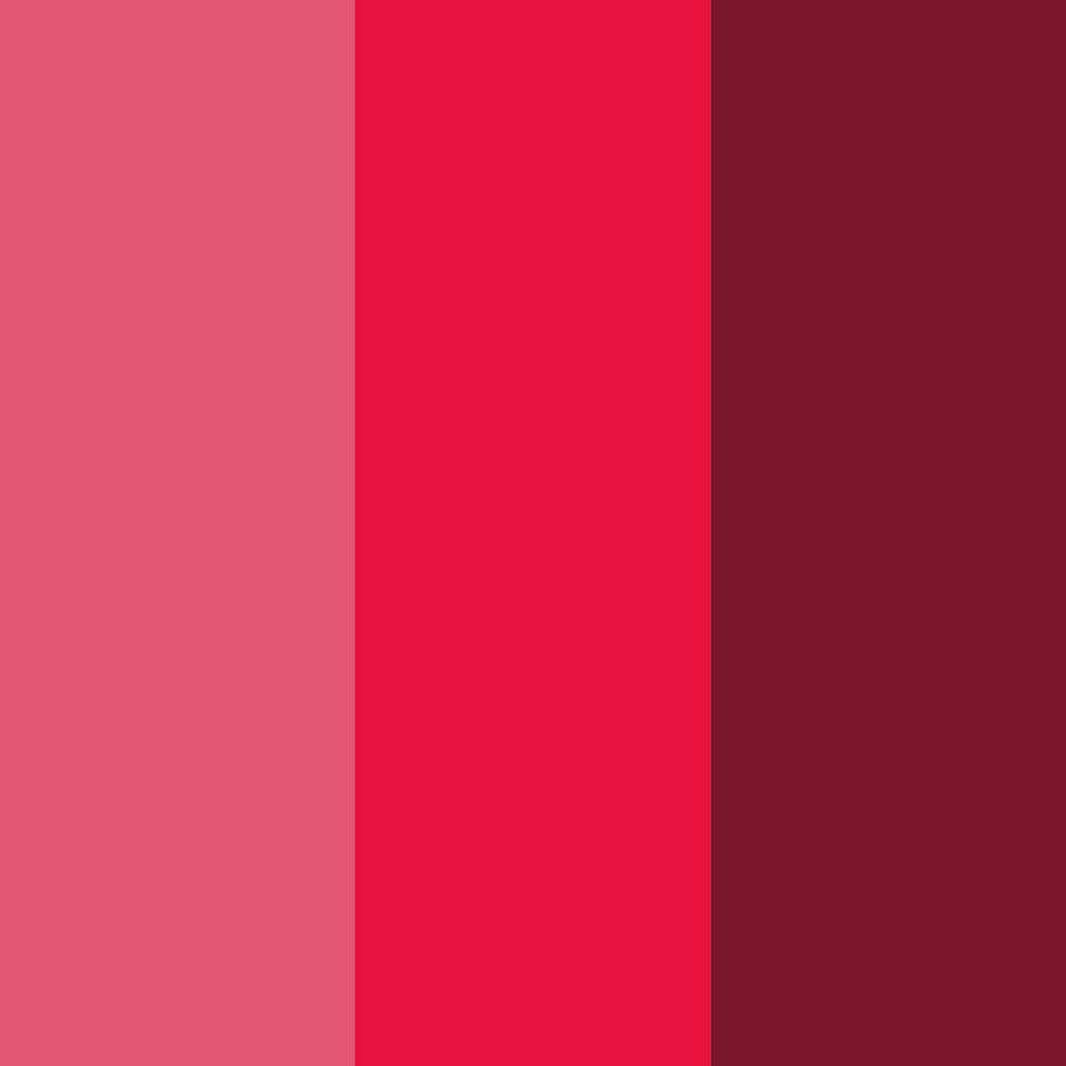 Roter La Tagua Schmuck