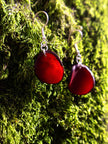 Ohrringe Lararet Rot - La Tagua Nuss Silber